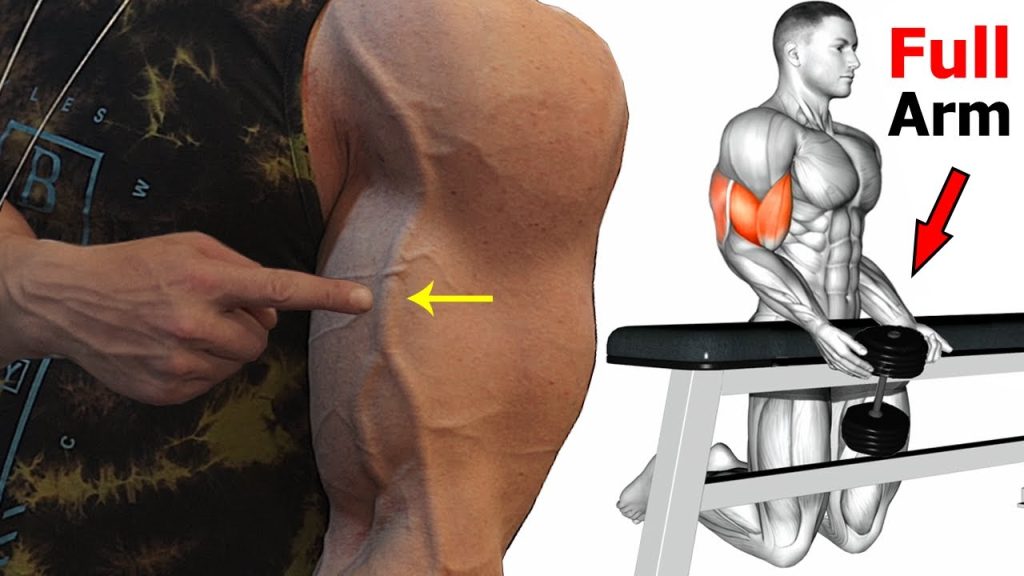 Full Arm Workout – 12 exercises to make your arms Big and perfect