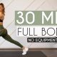 30 MIN FULL BODY HIIT (No Jumping + No Equipment)