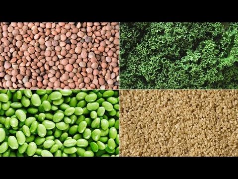 How Can Vegetarians Get Enough Protein?