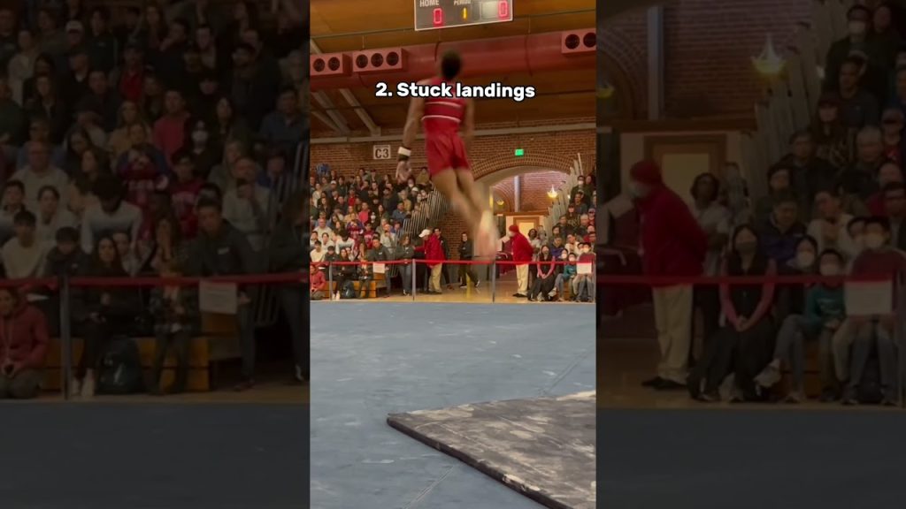 Reasons why you should watch gymnastics #olympicsport #calisthenics #gymnastics #training #fail #gym