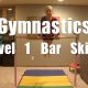 Gymnastics Level 1 Bar Skills