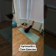 Gymnastics Core Exercise