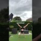 Easy gymnastics tricks for beginners
