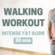 30 MIN WALKING CARDIO WORKOUT | Intense Full Body Fat Burn at Home ~ Emi