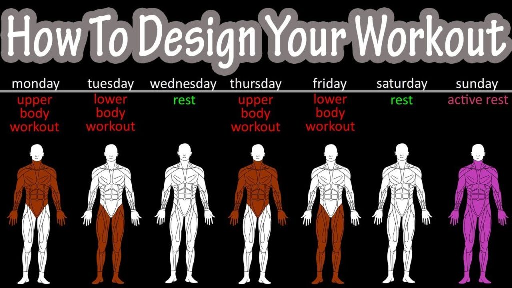 How To Create A Workout Plan For Beginners – How To Create Your Own Workout Schedule Program Plan
