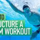 How To Plan A Swim Workout | Structure Your Next Swimming Session