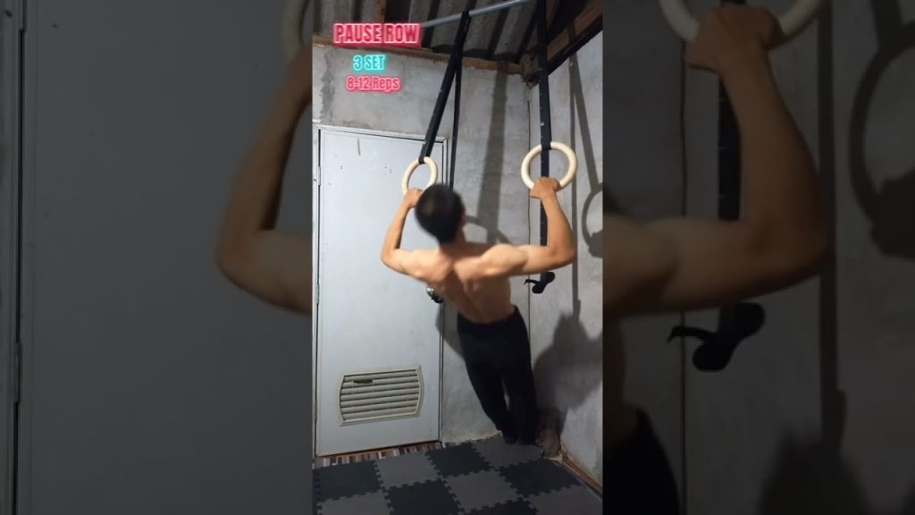 Back Workout (gymnastics Rings)