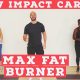 LOW IMPACT home cardio workout – fat burner – NO EQUIPMENT!