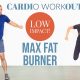 Fat burning, high intensity, low impact home cardio workout