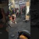 #jaibholenaath #jaishreekalkamaa #bodybuilding #fitenslife #fitnesslifestyle