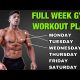 Full Week Gym Workout Plan For Muscle Building & Fat Loss | One vs Two Body Part | Bodybuilding