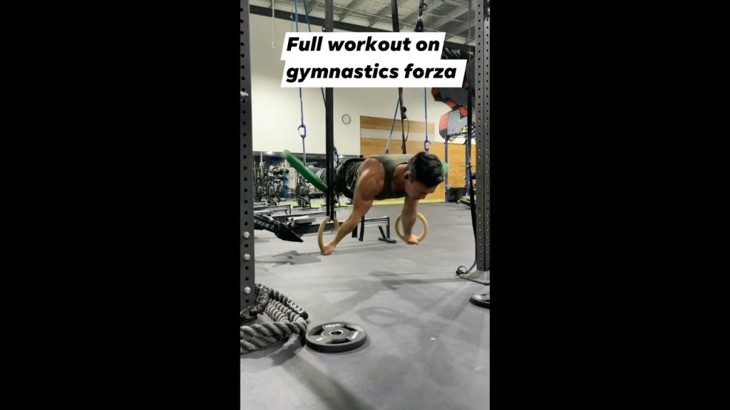 Full workout on gymnastics forza system