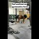 Full workout on gymnastics forza system