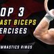 Top 3 BICEPS CURLS with Gymnastics Rings