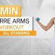 20 min BARRE ARMS WORKOUT | Light Dumbbells | All Standing