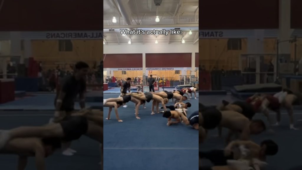 You gotta have fun too  #gymnast #olympics #sports #fail #ncaa #fitness #gym #gymnastics #lol