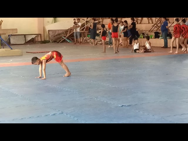 MENS ARTISTIC GYMNASTICS CLUSTER 1 FLOOR EXERCISE (INARADO ES)