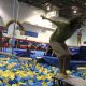 How to do a full twist backflip- progression gymnastics exercises tutorial