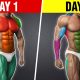 The Best 2-Day Workout Split for Mass