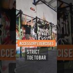 Accessory Exercises 002 CrossFit Gymnastics – Core- Arms – Back #shorts #youtubeshorts