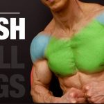 The PERFECT Push Workout (PUSH | PULL | LEGS)