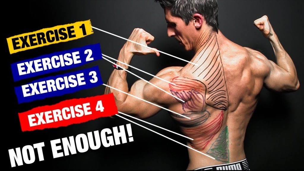 The PERFECT Back Workout (Sets and Reps Included)