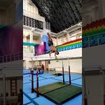 Artistic gymnastics training parallel Bars
