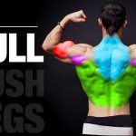 The PERFECT Pull Workout (PUSH | PULL | LEGS)