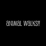 Animal Walks for Early Elementary Gymnastics
