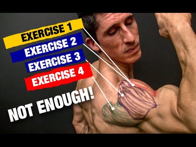 The PERFECT Shoulder Workout (Sets and Reps Included)