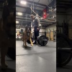 Full Video Is Up! Check It Out! #germanshepherd #gsdnation #fitness #coffee #crossfit #hyrox