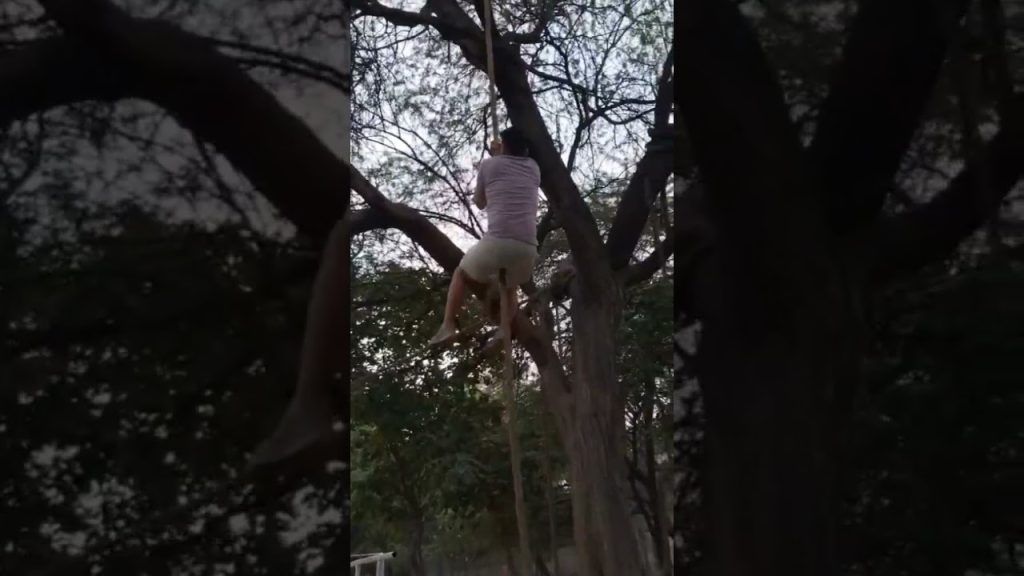 Climb rope just with hands #haryana #fitness #crossfit #gym #desi #strenghttraining #crossfitter