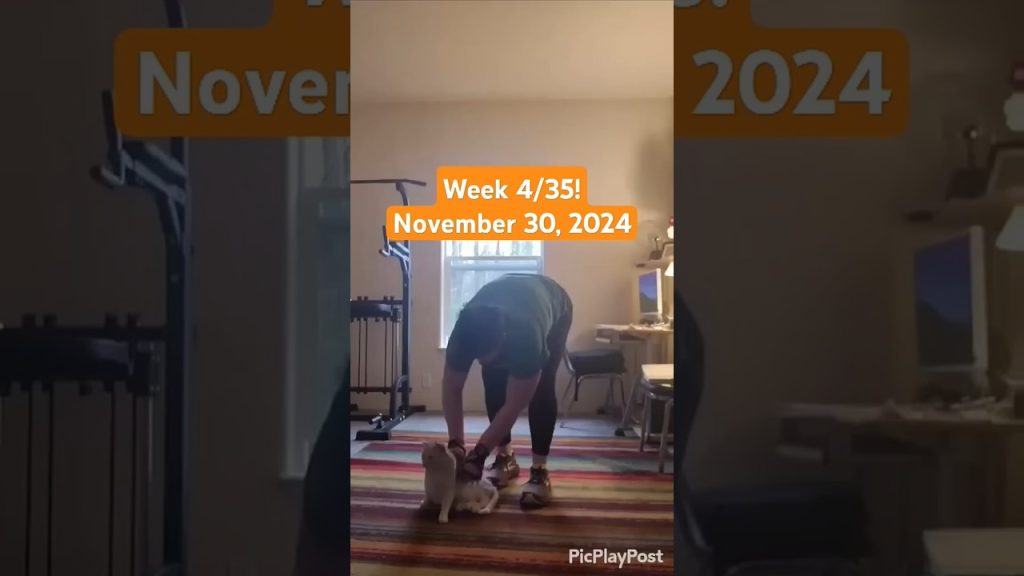 Week 4/35! #fitness #motivation #p90x #bodybuilding #weightlifting #weightloss #gym #gymmotivation
